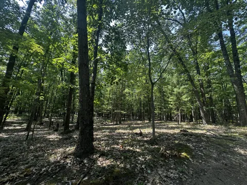 Deer Trail