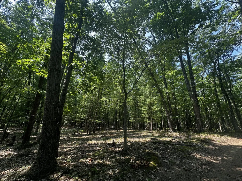 Deer Trail Irons, MI 49644