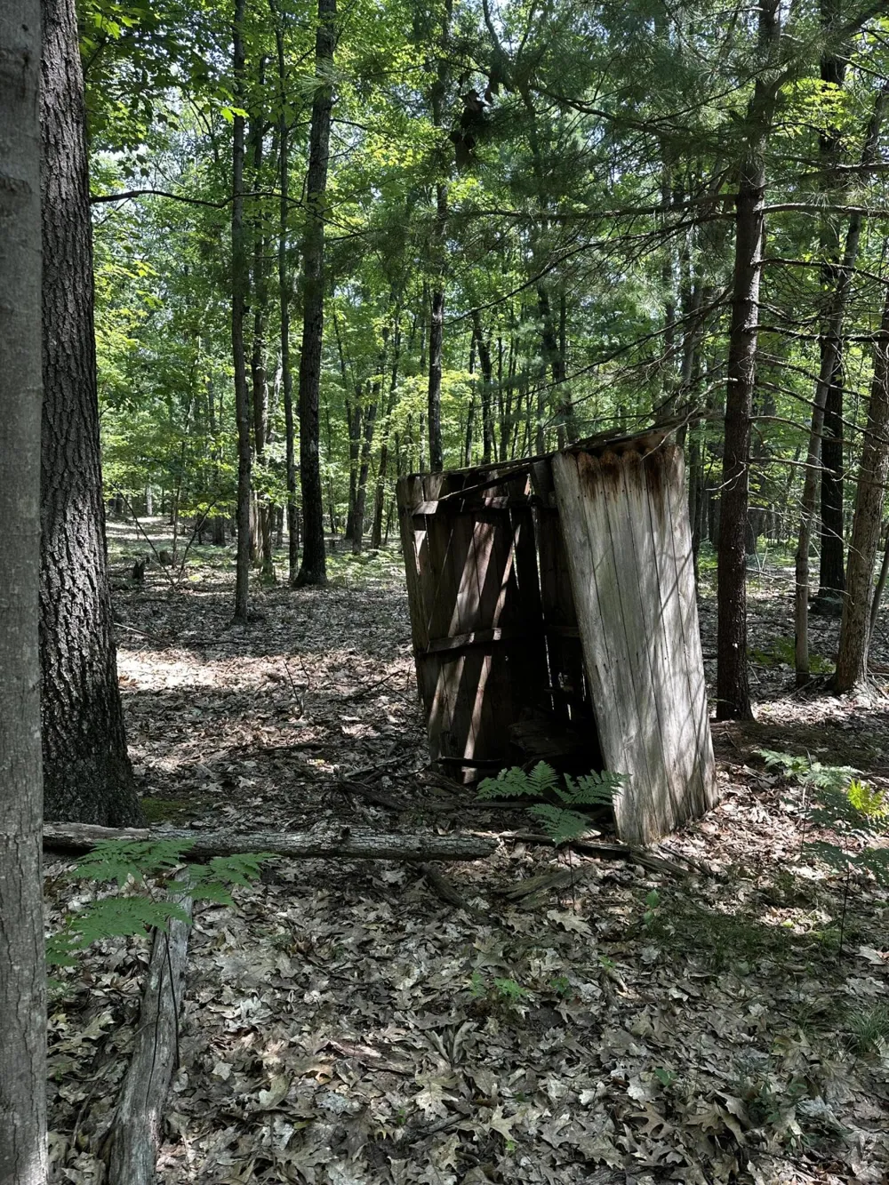 Deer Trail Irons, MI 49644
