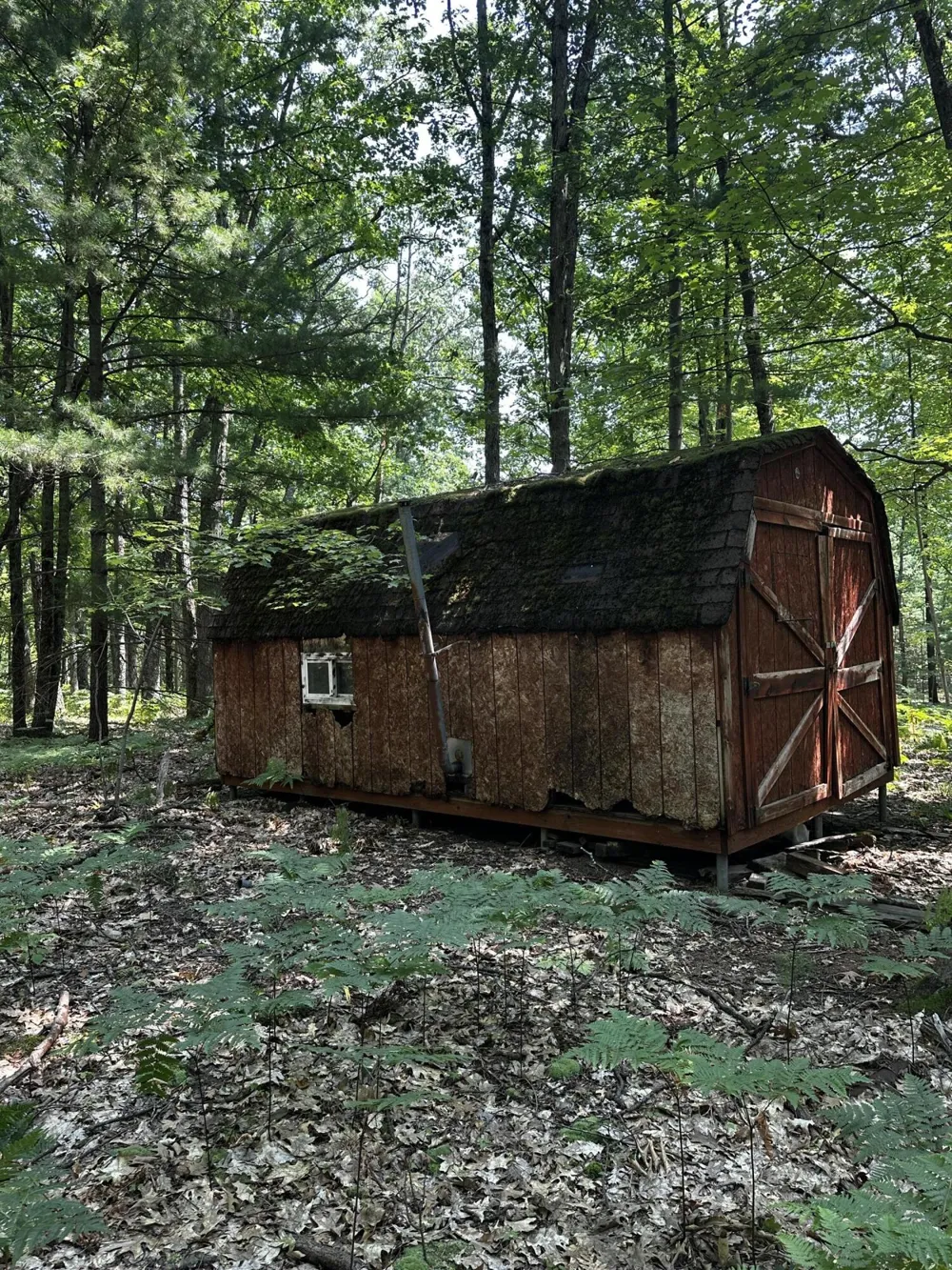Deer Trail Irons, MI 49644