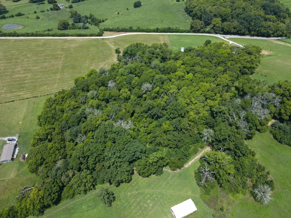 2006 Four Winds Pvt Ln Thompsons Station, TN 37179