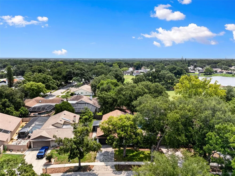 647 BONNIE BOULEVARD Palm Harbor, FL 34684