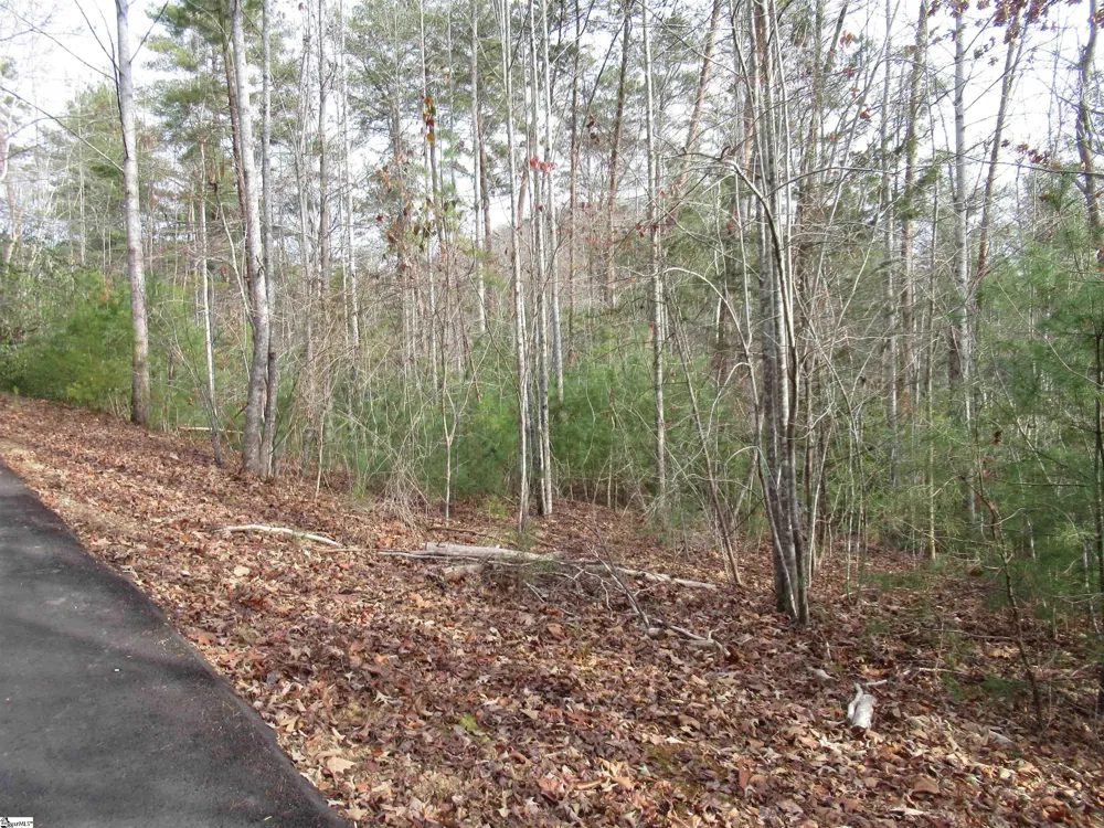 116 Fireside Lane Pickens, SC 29671