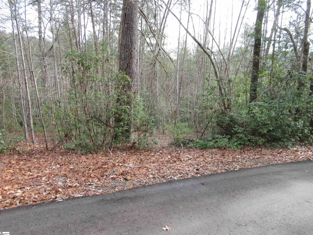 116 Fireside Lane Pickens, SC 29671