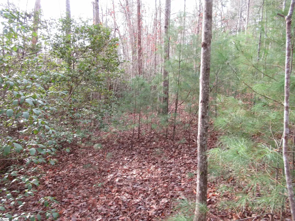 116 Fireside Lane Pickens, SC 29671