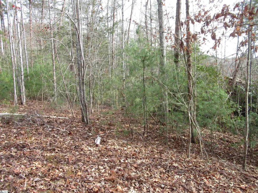 116 Fireside Lane Pickens, SC 29671
