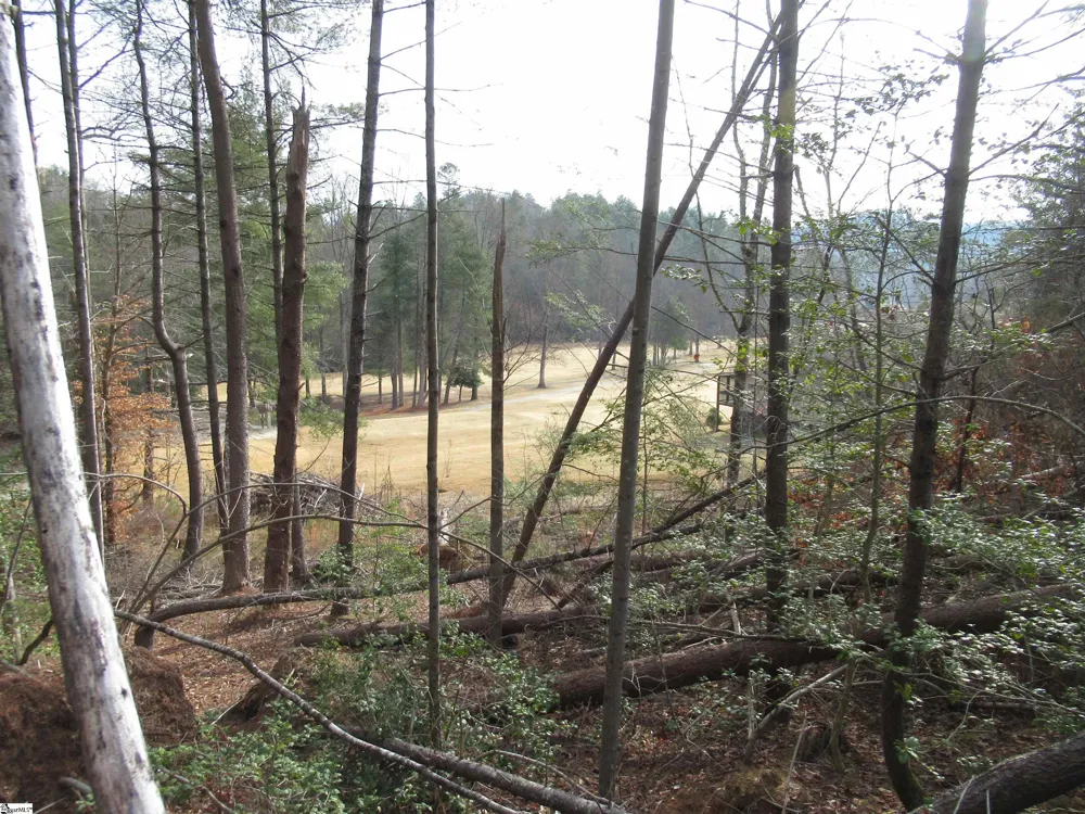 116 Fireside Lane Pickens, SC 29671