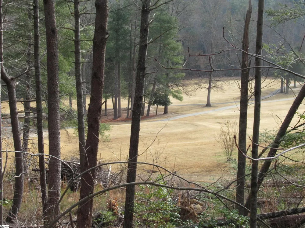 116 Fireside Lane Pickens, SC 29671