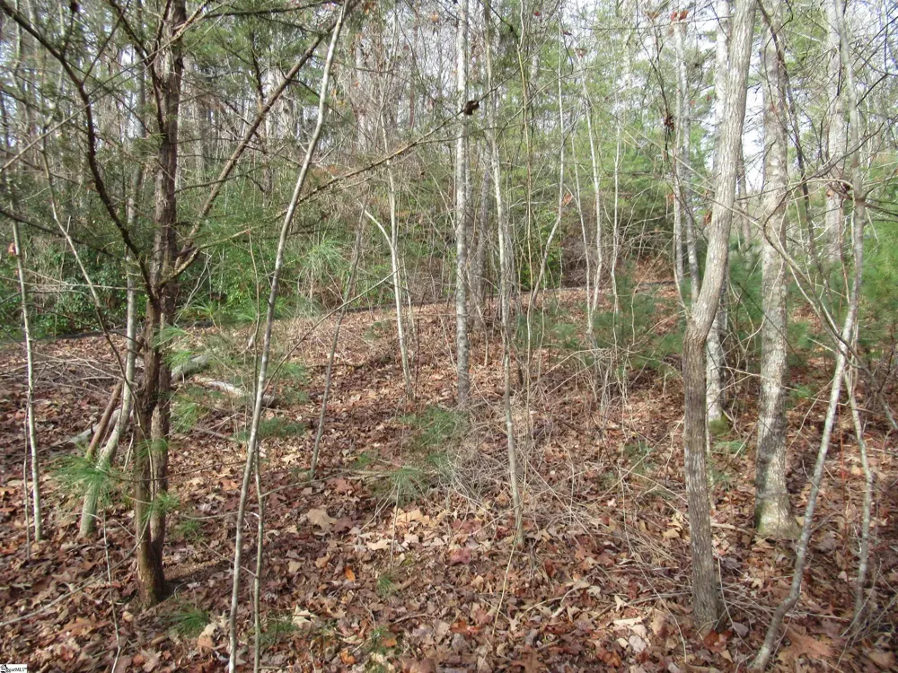 116 Fireside Lane Pickens, SC 29671