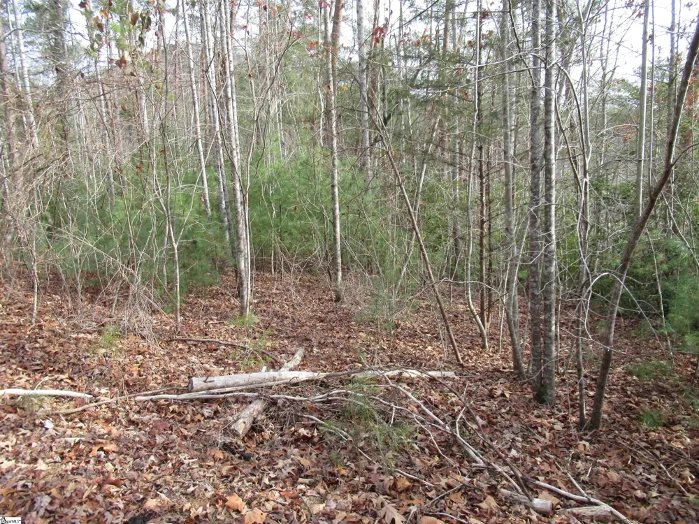 116 Fireside Lane Pickens, SC 29671