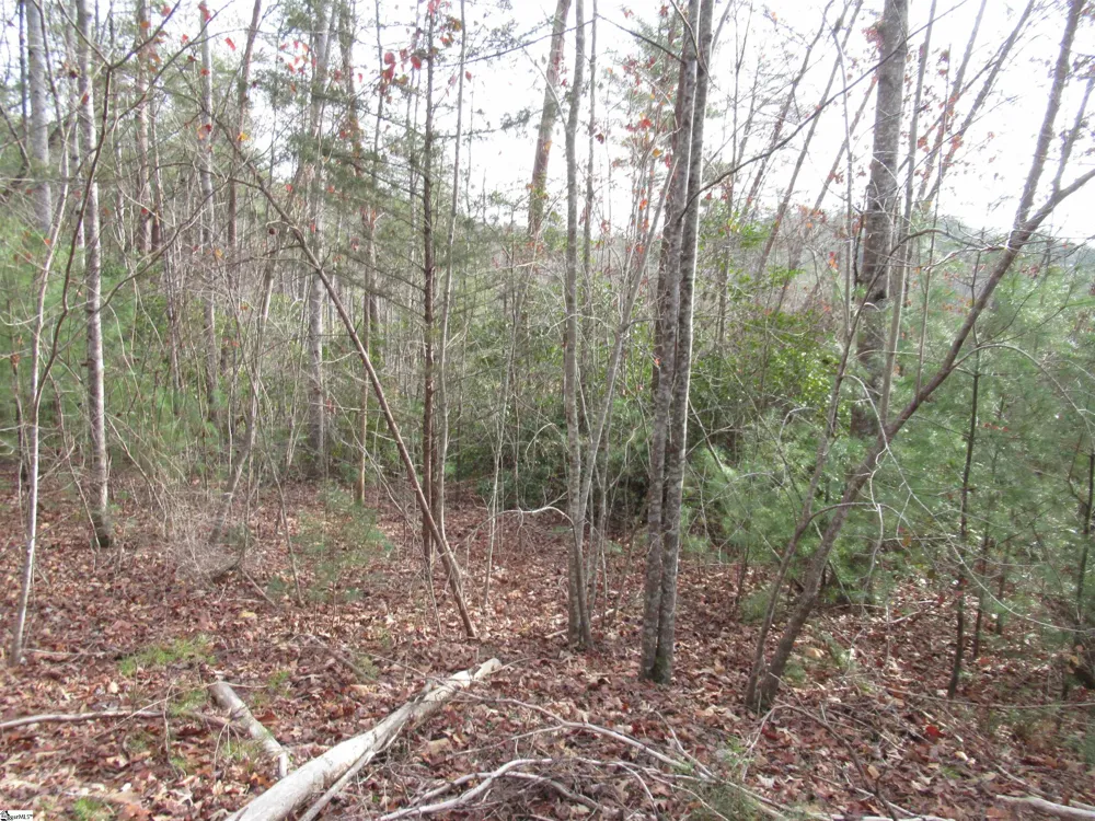 116 Fireside Lane Pickens, SC 29671