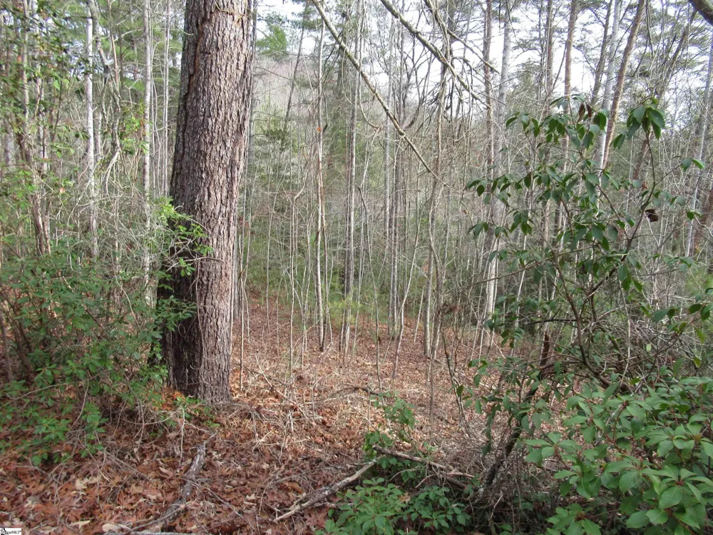 116 Fireside Lane Pickens, SC 29671