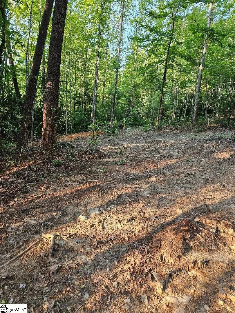 116 Fireside Lane Pickens, SC 29671