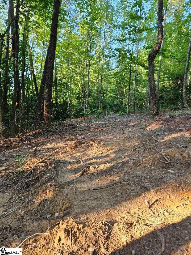 116 Fireside Lane Pickens, SC 29671