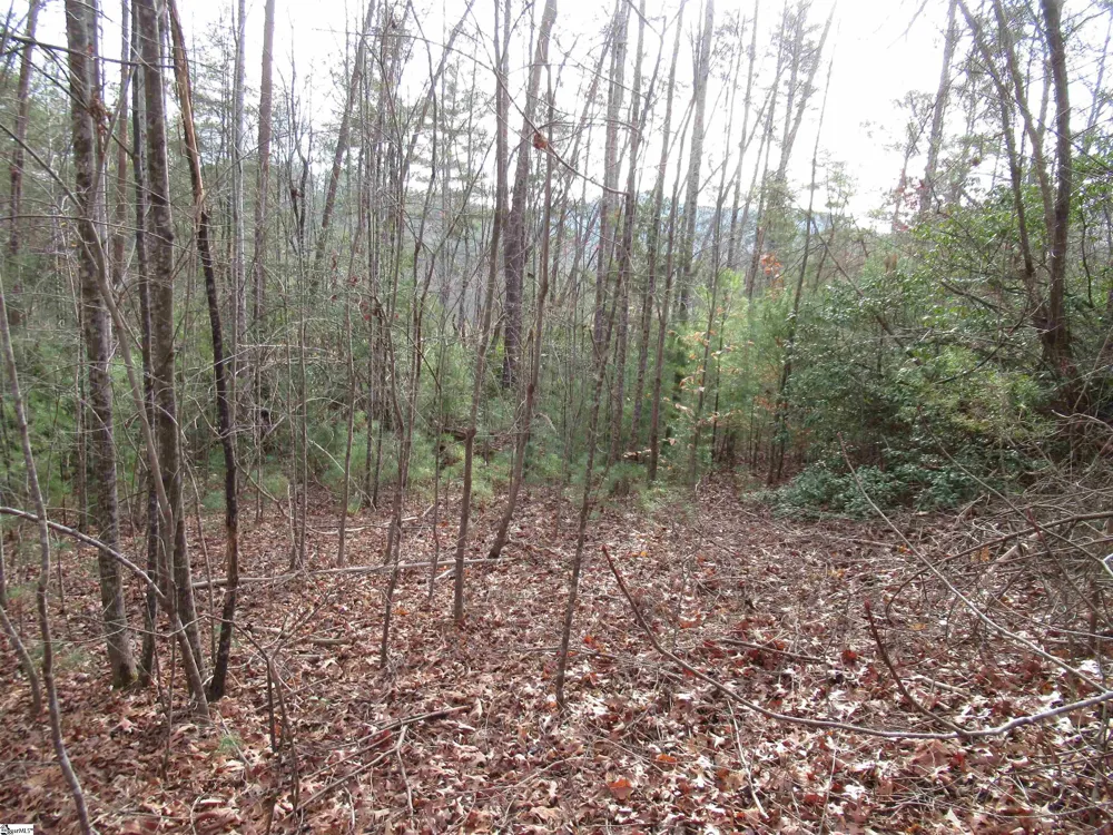 116 Fireside Lane Pickens, SC 29671