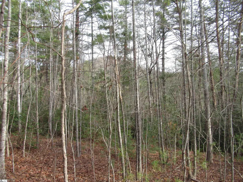 116 Fireside Lane Pickens, SC 29671