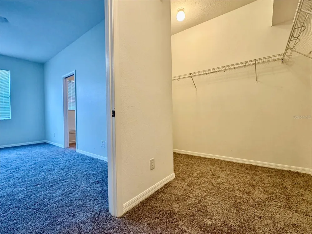 13052 TERRACE SPRINGS DRIVE Temple Terrace, FL 33637