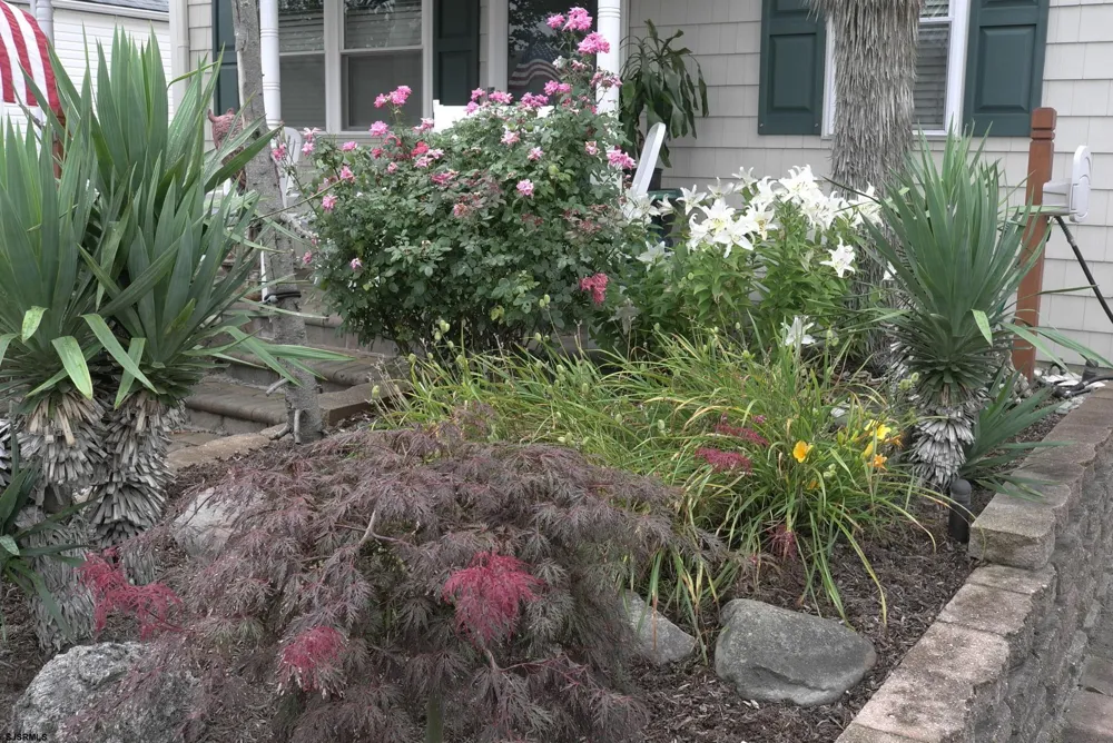 32 Manor Longport, NJ 08403