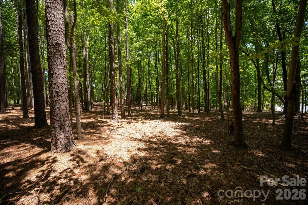 3920 Concord Drive York, SC 29745