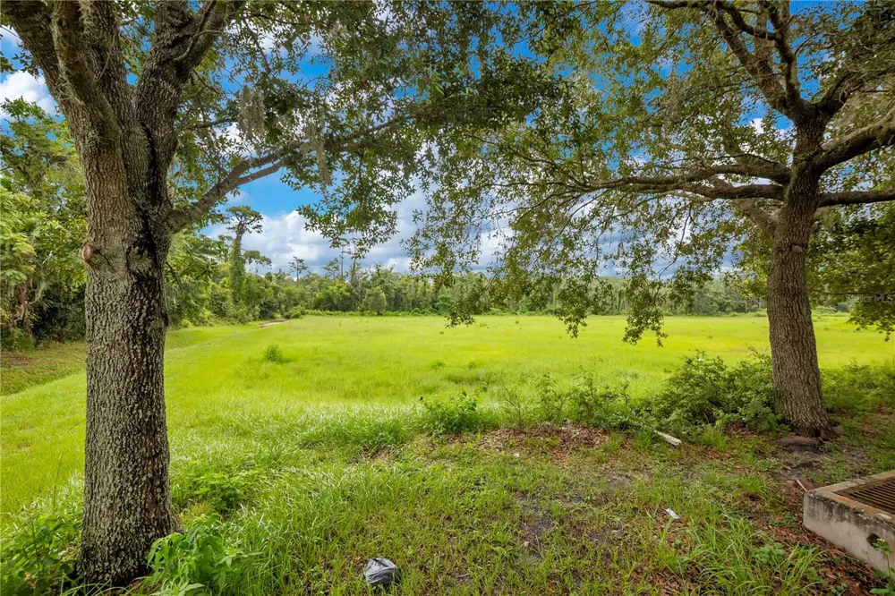 ROCK SPRINGS ROAD Apopka, FL 32712