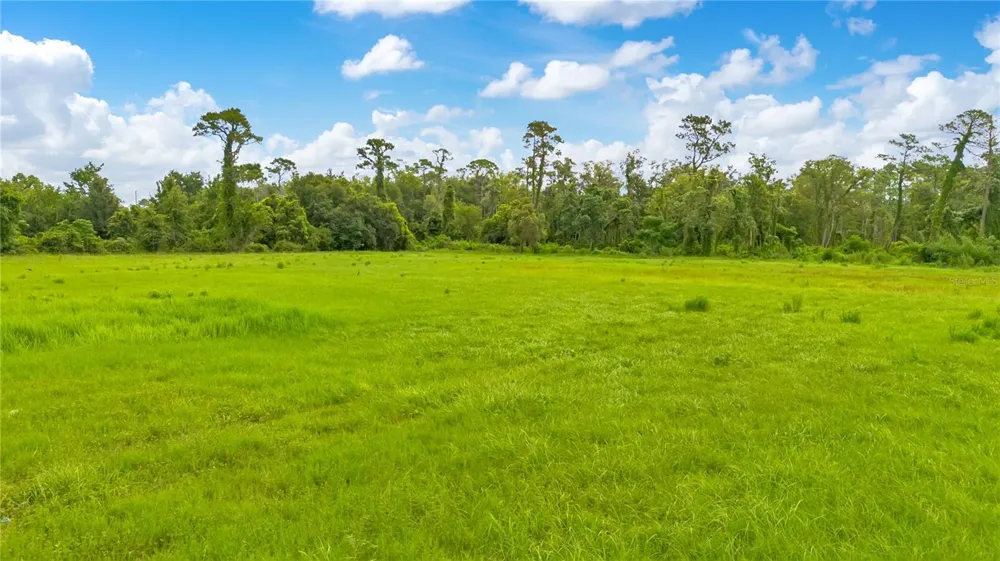 ROCK SPRINGS ROAD Apopka, FL 32712
