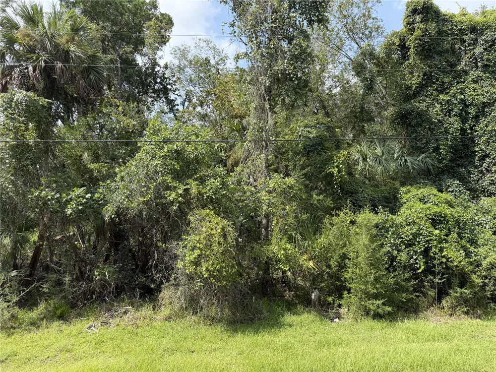 10991 W LONDON LANE Homosassa, FL 34448