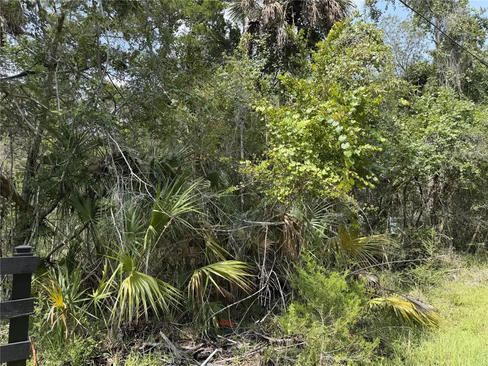 10991 W LONDON LANE Homosassa, FL 34448