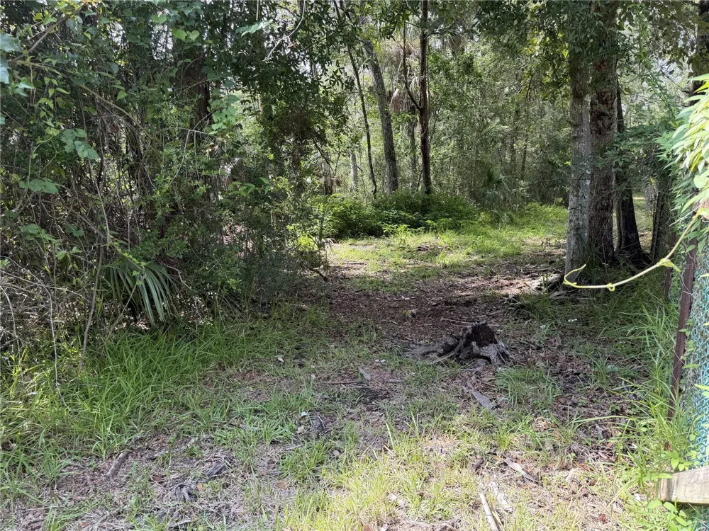 10991 W LONDON LANE Homosassa, FL 34448
