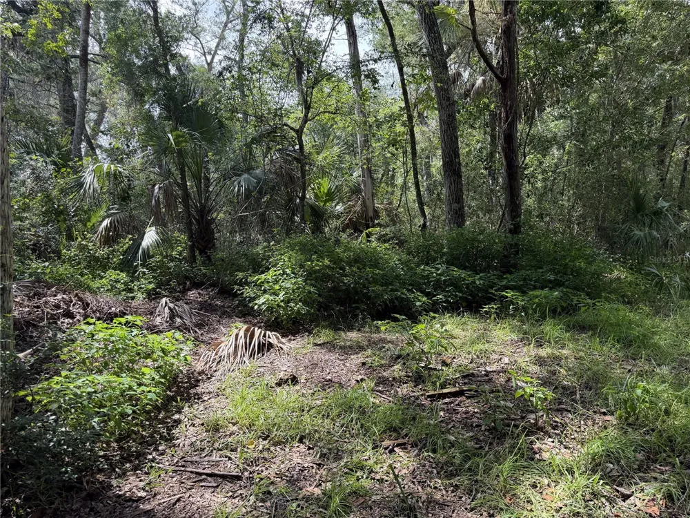 10991 W LONDON LANE Homosassa, FL 34448