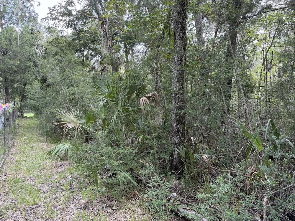 10991 W LONDON LANE Homosassa, FL 34448