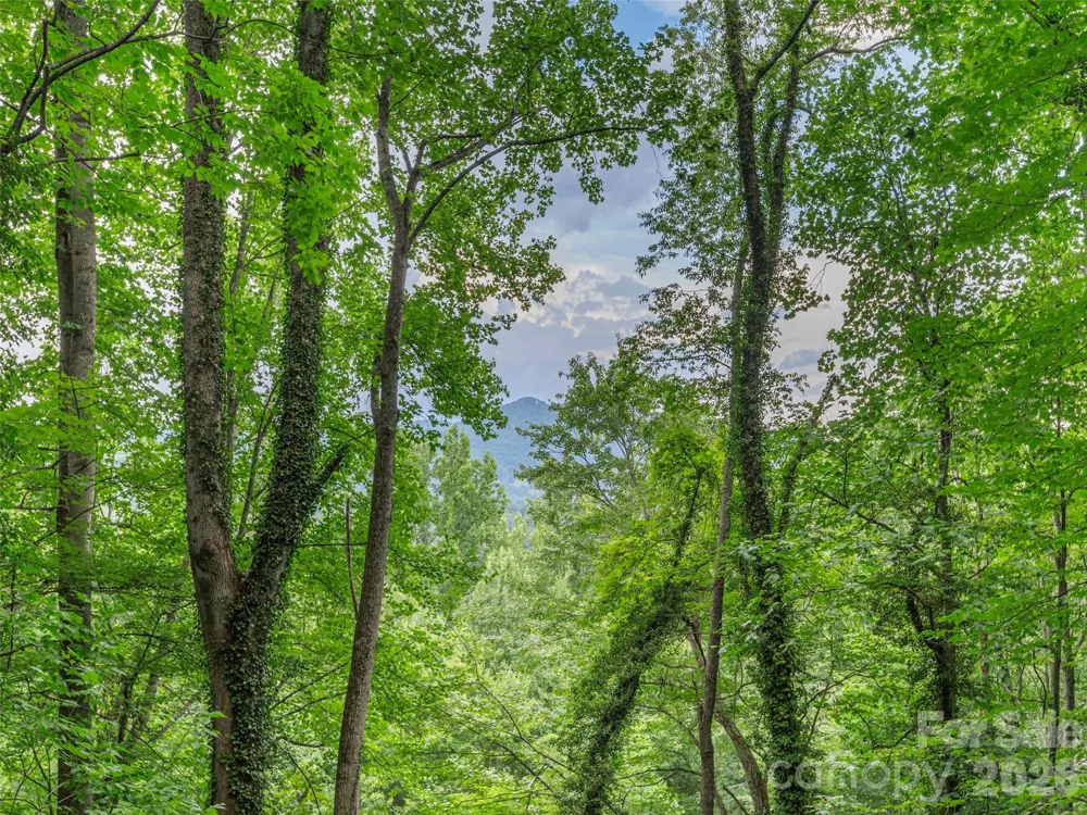 212 Torda Trace Waynesville, NC 28786
