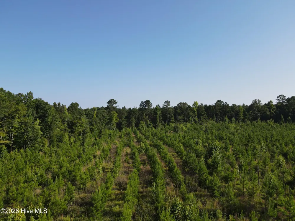 1 Youngblood Road Sparta, GA 31087