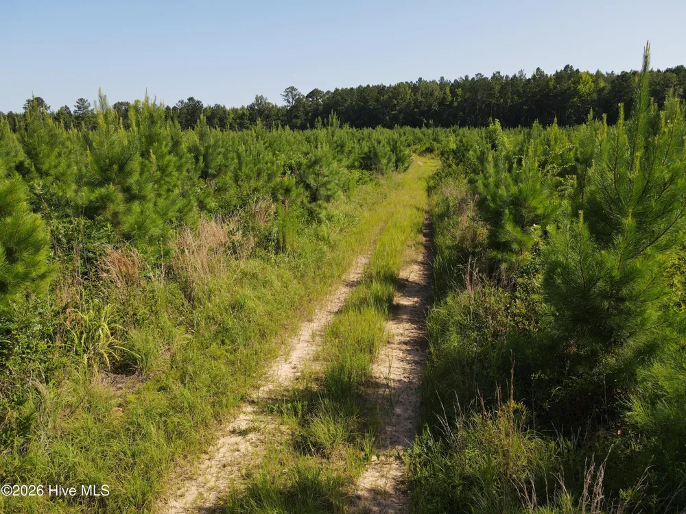 1 Youngblood Road Sparta, GA 31087