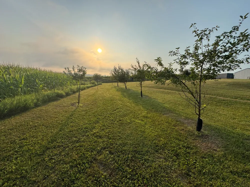 1722 US Highway 12 Hammond, WI 54015