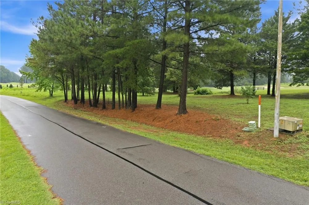 0 Oak Tree Drive Blanch, NC 27212