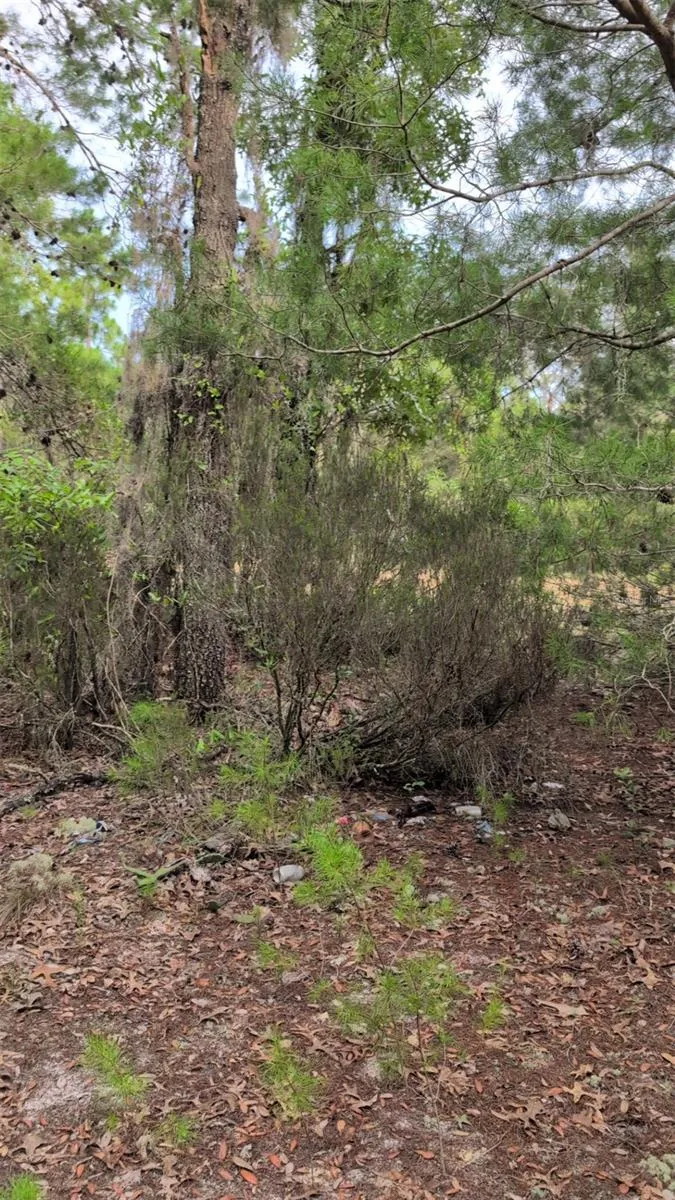 102 B STREET Interlachen, FL 32148
