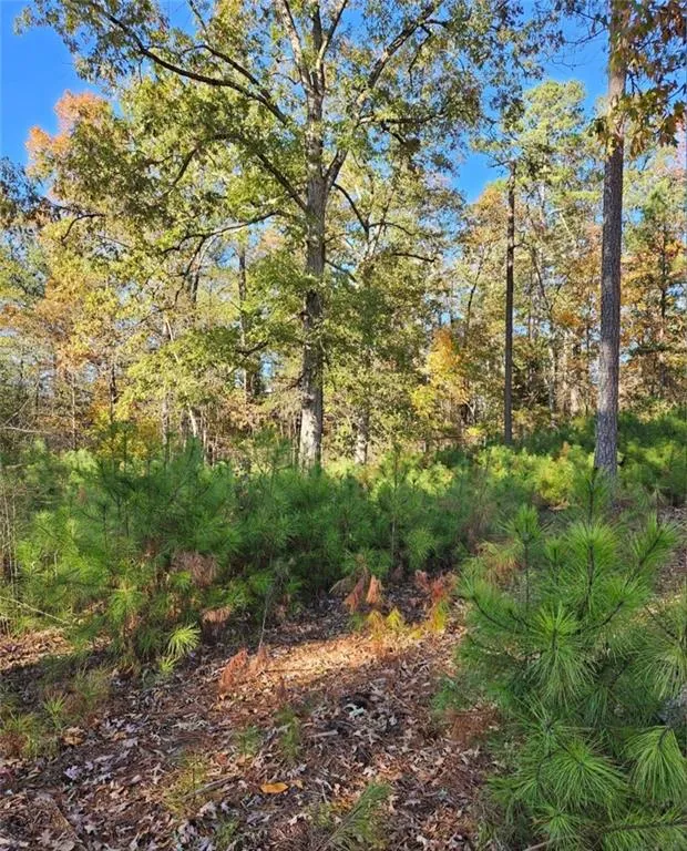1993 Smyrna Road SW Conyers, GA 30094