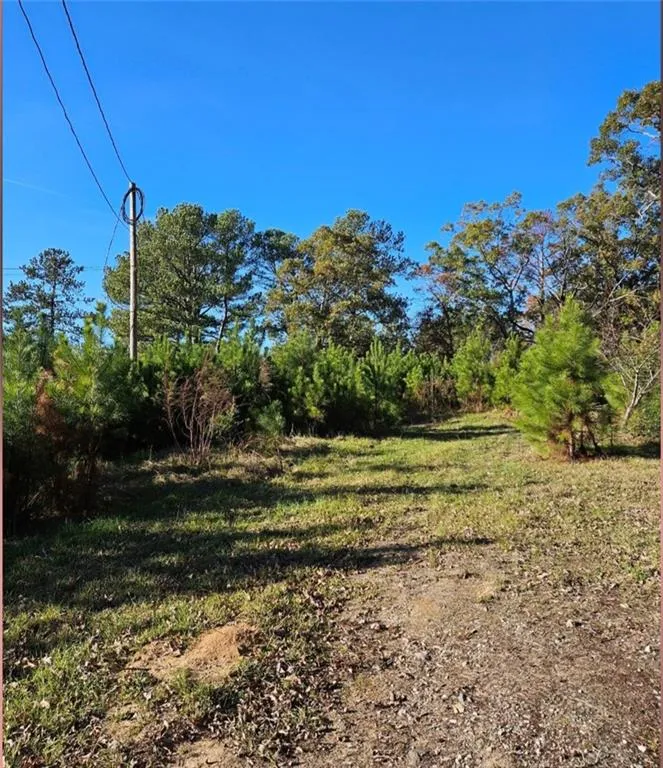 1993 Smyrna Road SW Conyers, GA 30094