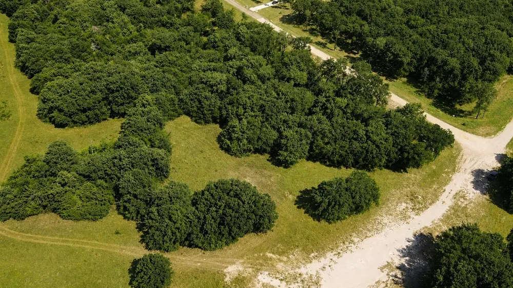 Private Road 5440 #Lot 26 Point, TX 75472