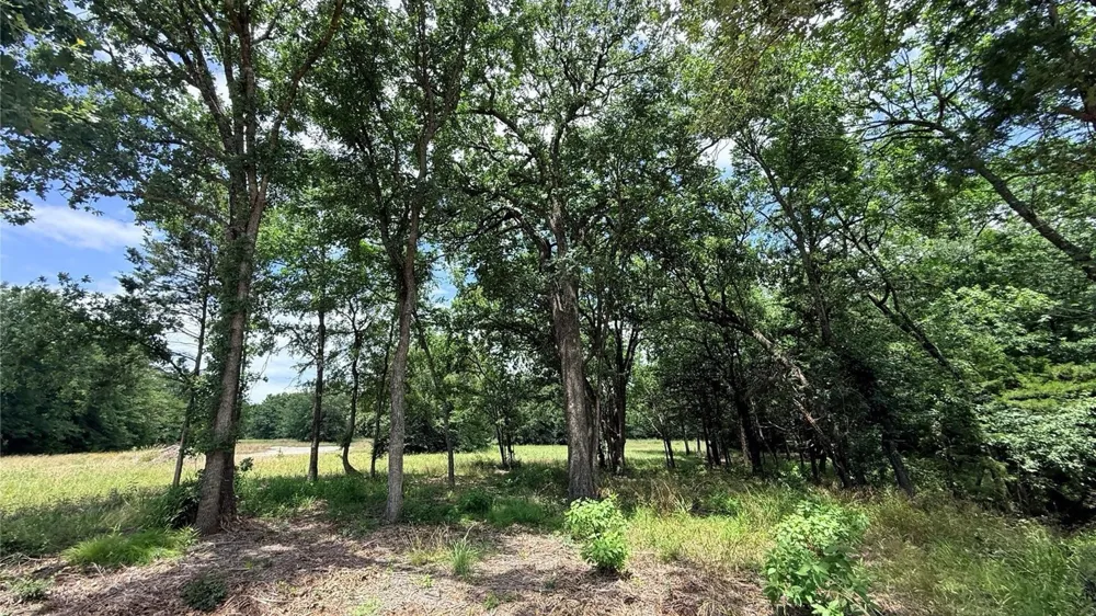 Private Road 5440 #Lot 26 Point, TX 75472