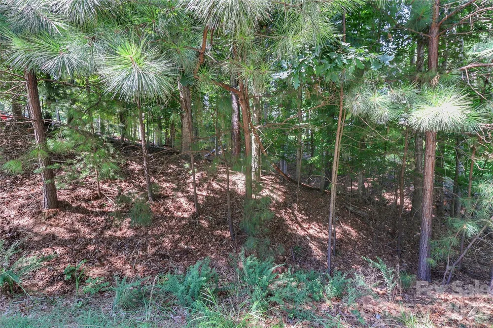 496 Kenway Loop Mooresville, NC 28117