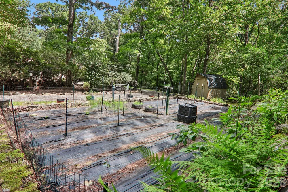 3 Edelweiss Drive Horse Shoe, NC 28742