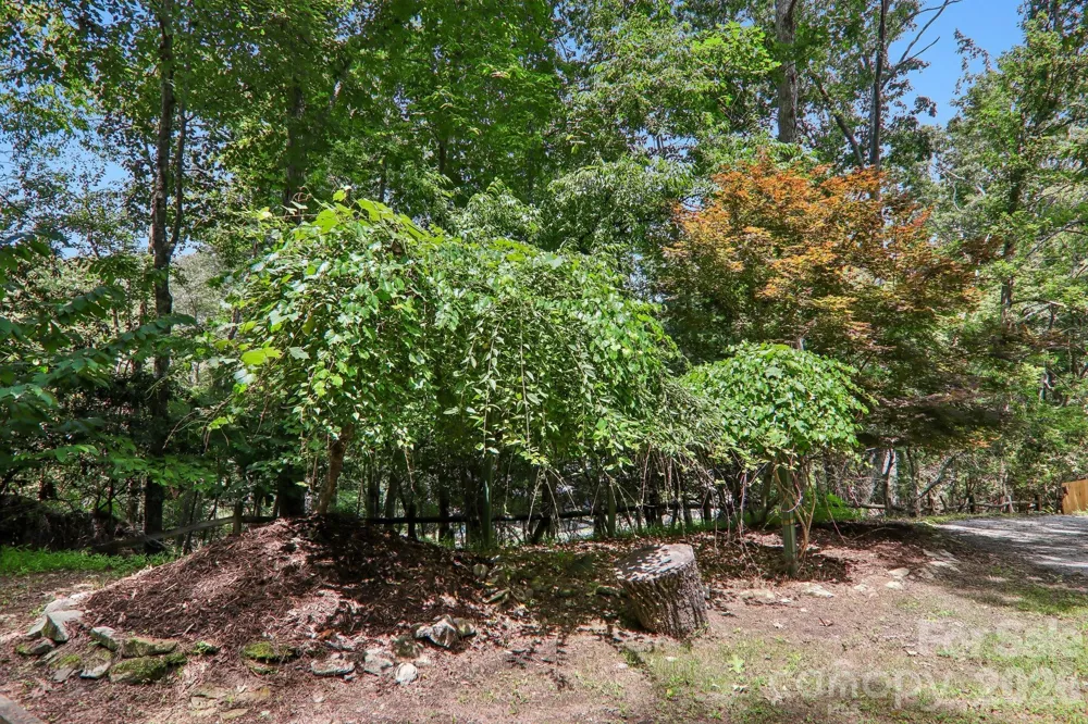 3 Edelweiss Drive Horse Shoe, NC 28742