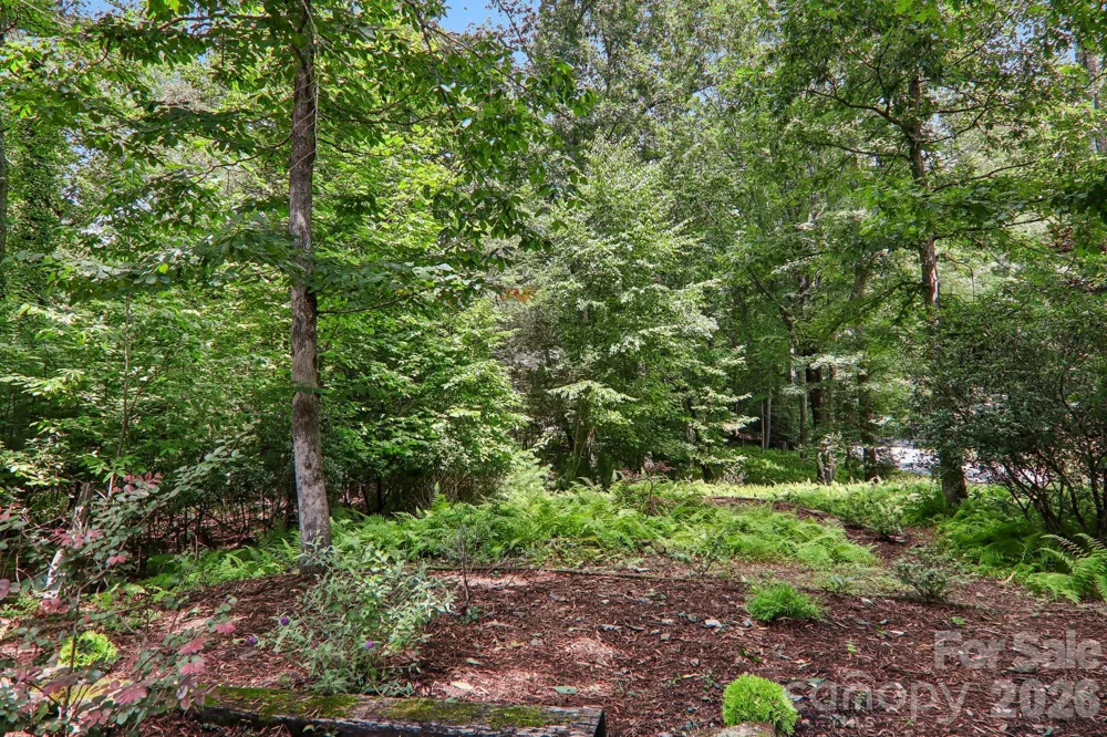 3 Edelweiss Drive Horse Shoe, NC 28742