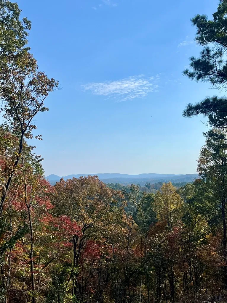 Lot 292 Creekside Crossing Talking Rock, GA 30175