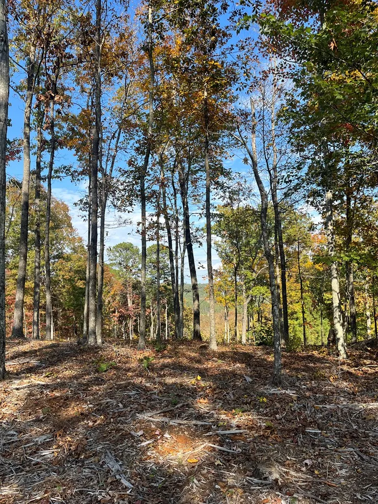 Lot 292 Creekside Crossing Talking Rock, GA 30175