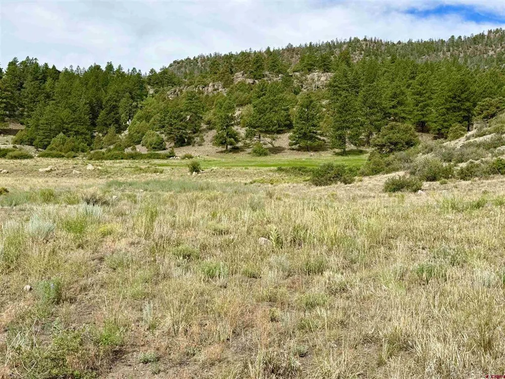 580 Rio Grande Club Trail South Fork, CO 81154