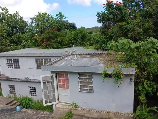 115 COM SANTA CATALINA 228 #228 Canovanas, PR 00729