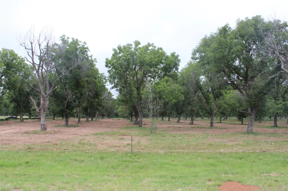 3173 E Landings S Granbury, TX 76049
