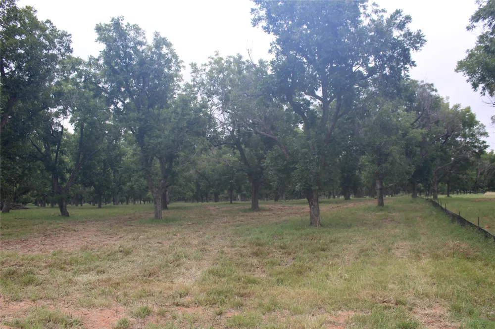 3173 E Landings S Granbury, TX 76049